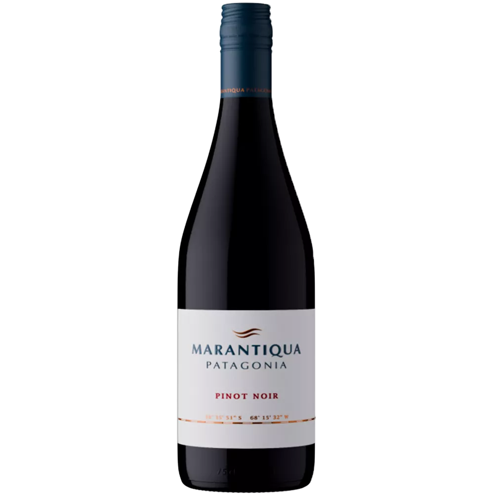 Vino Marantiqua Pinot Noir - 750 ml